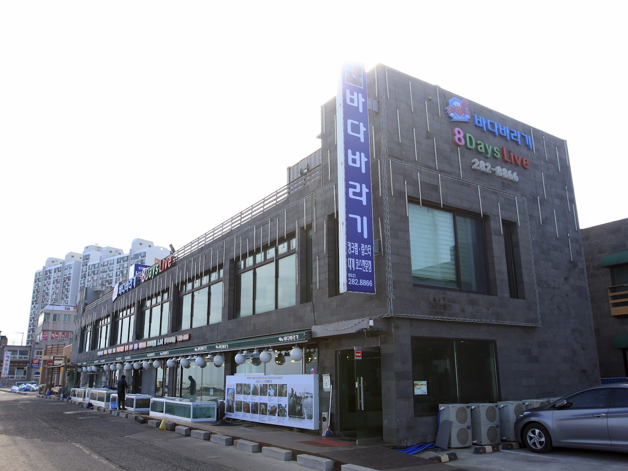 바다 바라기 이미지