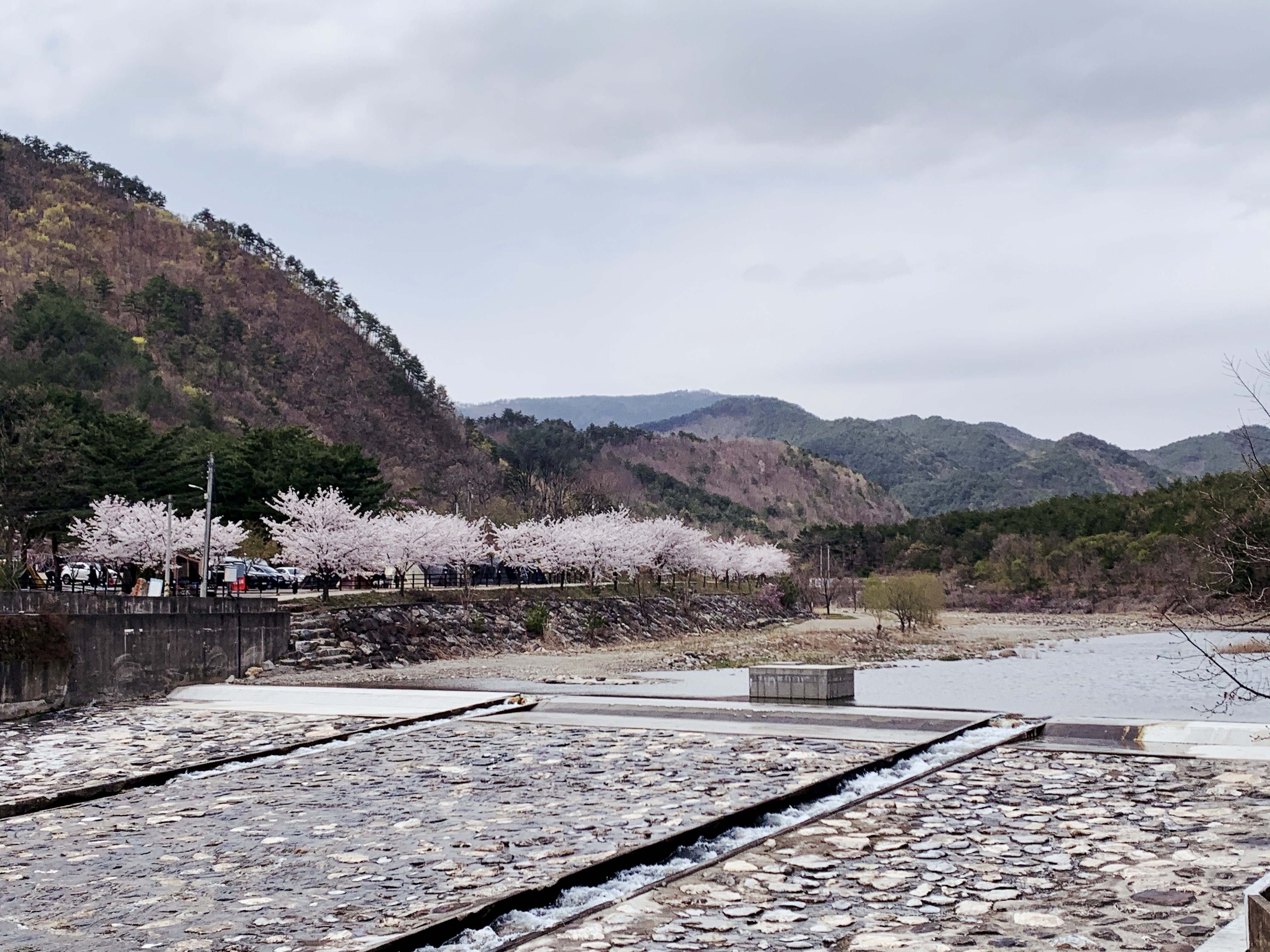 삼척엘림캠핑장 이미지